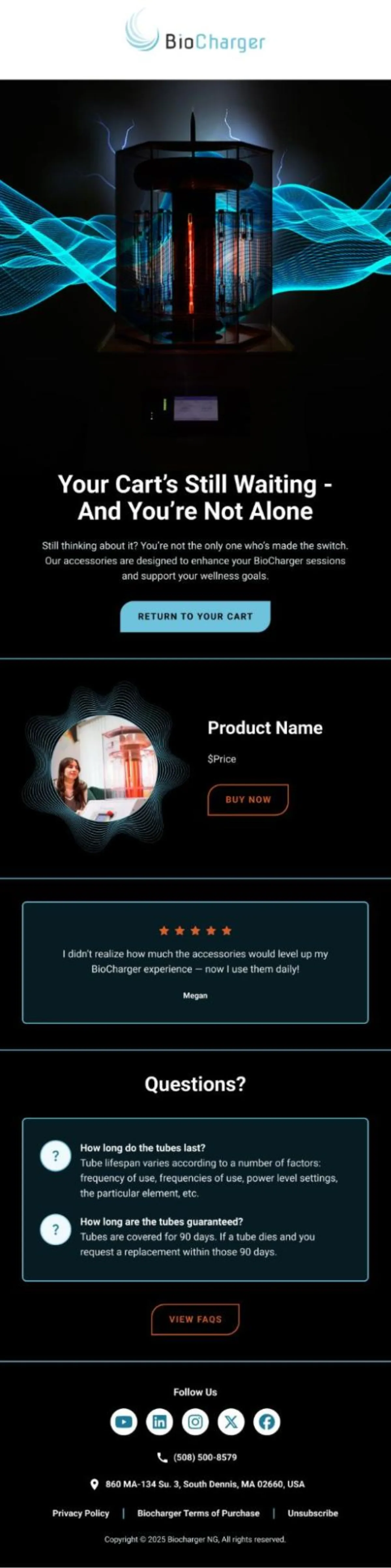 Biocharger abandoned cart email example